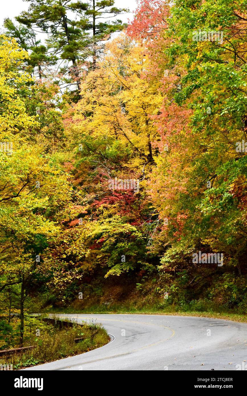 Eine kurvige Bergstraße in der Nähe von Highlands im Westen von North Carolina Stockfoto