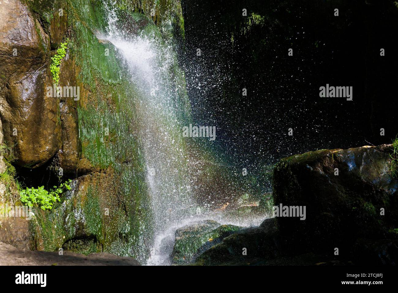 Der Wasserfall Langenhennersdorf. Mündung des Langenhennersdorfer Bachs in die Gottleuba über einen 9 m hohen Wasserfall, der Bach mit seiner Einbuchtung konnte Stockfoto