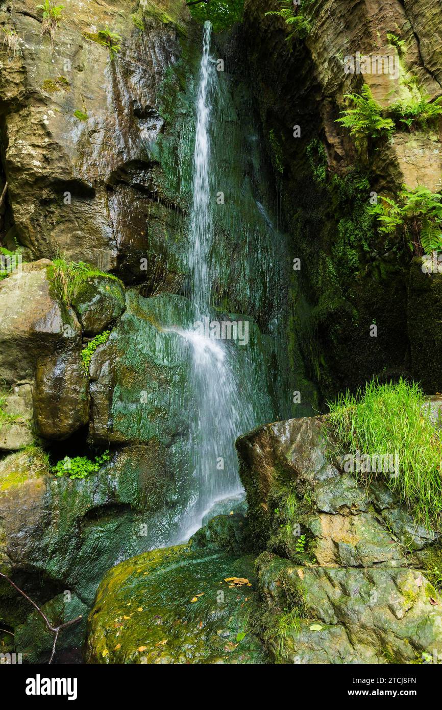 Der Wasserfall Langenhennersdorf. Mündung des Langenhennersdorfer Bachs in die Gottleuba über einen 9 m hohen Wasserfall, der Bach mit seiner Einbuchtung konnte Stockfoto
