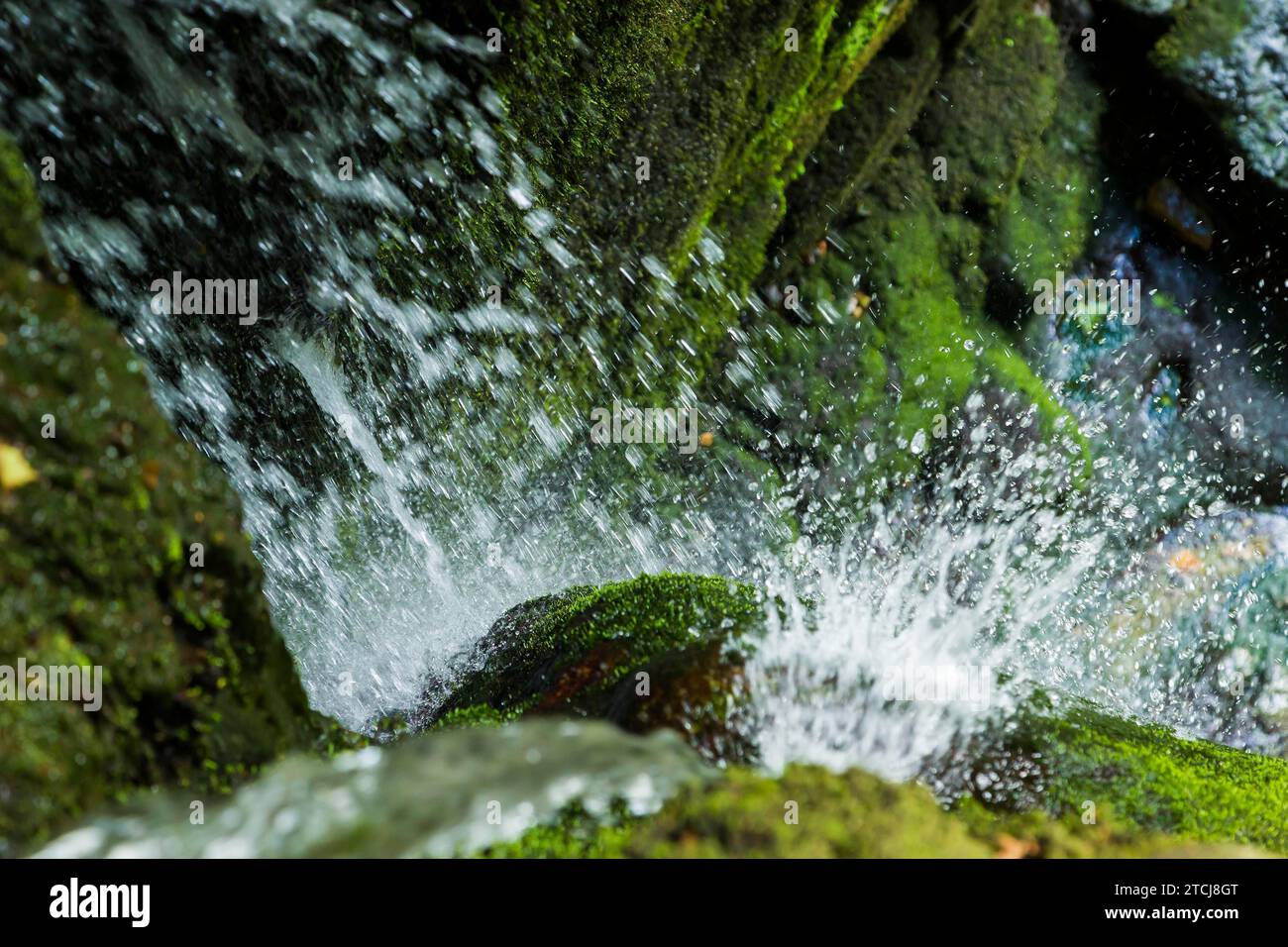 Der Wasserfall Langenhennersdorf. Mündung des Langenhennersdorfer Bachs in die Gottleuba über einen 9 m hohen Wasserfall, der Bach mit seiner Einbuchtung konnte Stockfoto