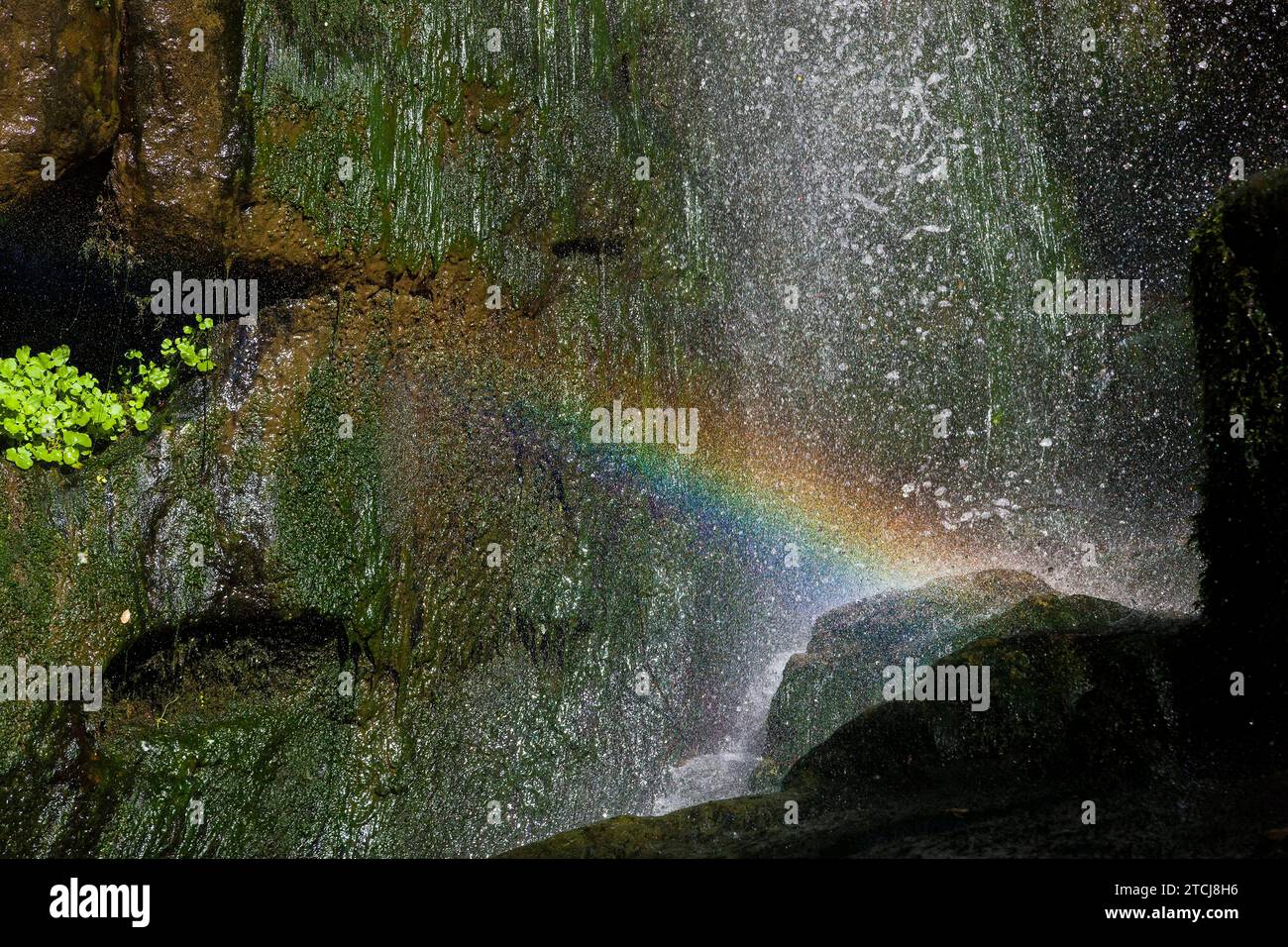 Der Wasserfall Langenhennersdorf. Mündung des Langenhennersdorfer Baches in die Gottleuba über einen 9 Meter hohen Wasserfall, dem der Bach nicht folgen konnte Stockfoto