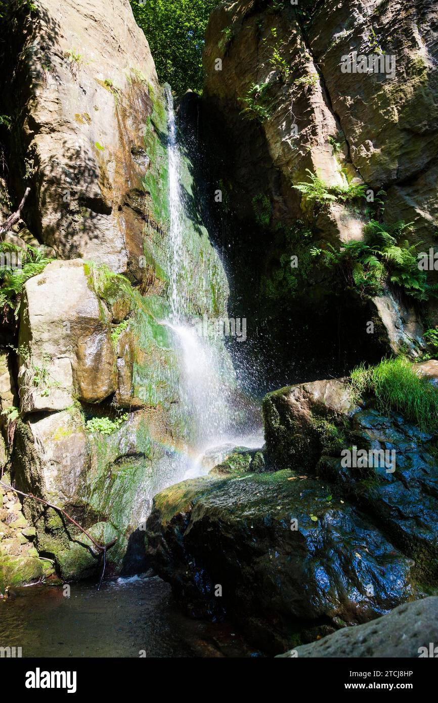 Der Wasserfall Langenhennersdorf. Mündung des Langenhennersdorfer Baches in die Gottleuba über einen 9 Meter hohen Wasserfall, dem der Bach nicht folgen konnte Stockfoto
