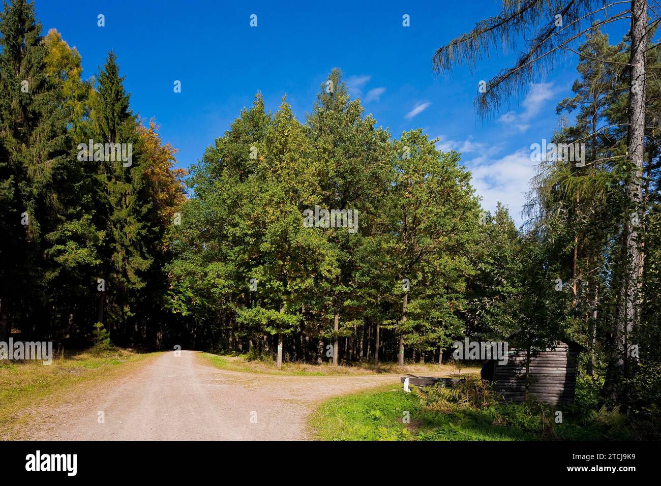 Dippoldiswalder Heide Stockfoto