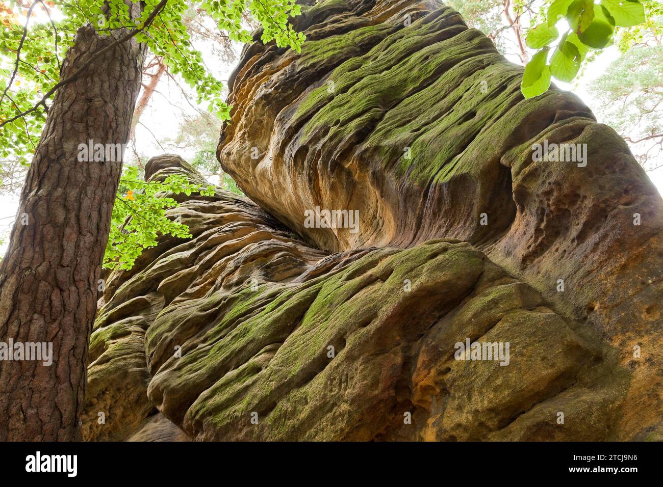 Dippoldiswalder Heide, Einsiedlerstein Stockfoto