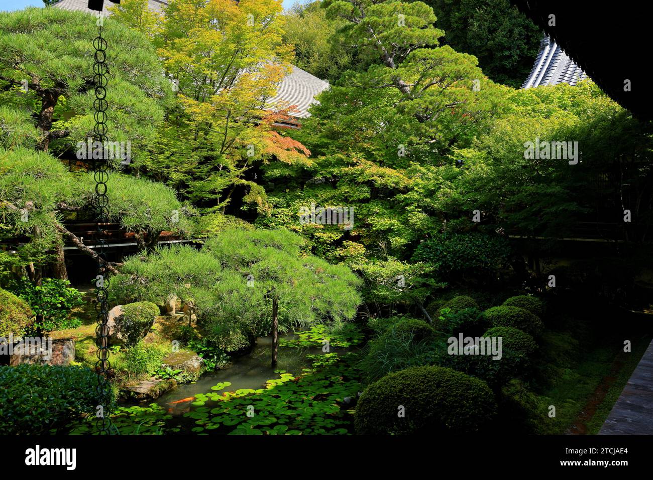 Garten im Eikan-Do Tempel, einem großen buddhistischen Tempel mit alter Kunst und Zen-Garten in Kyoto, Japan Stockfoto