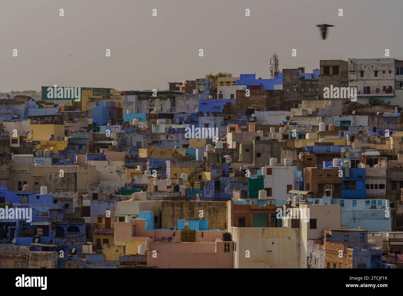Blick auf Jodhpur Blue City Stockfoto
