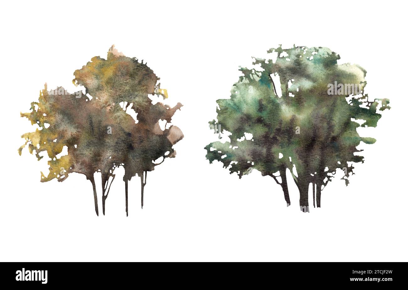 Laubbäume oder Büsche Aquarell handgemalt Illustration Clipart. Verschiedene Wald-, Park-, Feldpflanzenelemente für Ihre Karte, Landschaftsvorlage, Stockfoto
