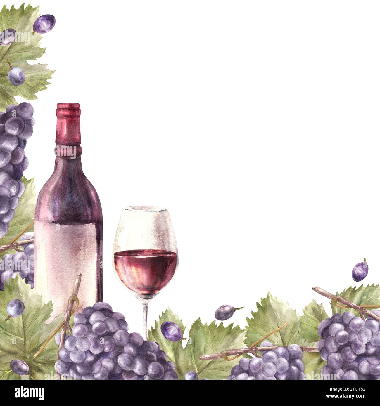 Aquarellrahmen mit quadratischem Rahmen, blaue Trauben, Blätter und Beeren mit Flasche und Glas Rotwein. Weinreben-Etikett handgemalte Illustrationsschablone für Stockfoto