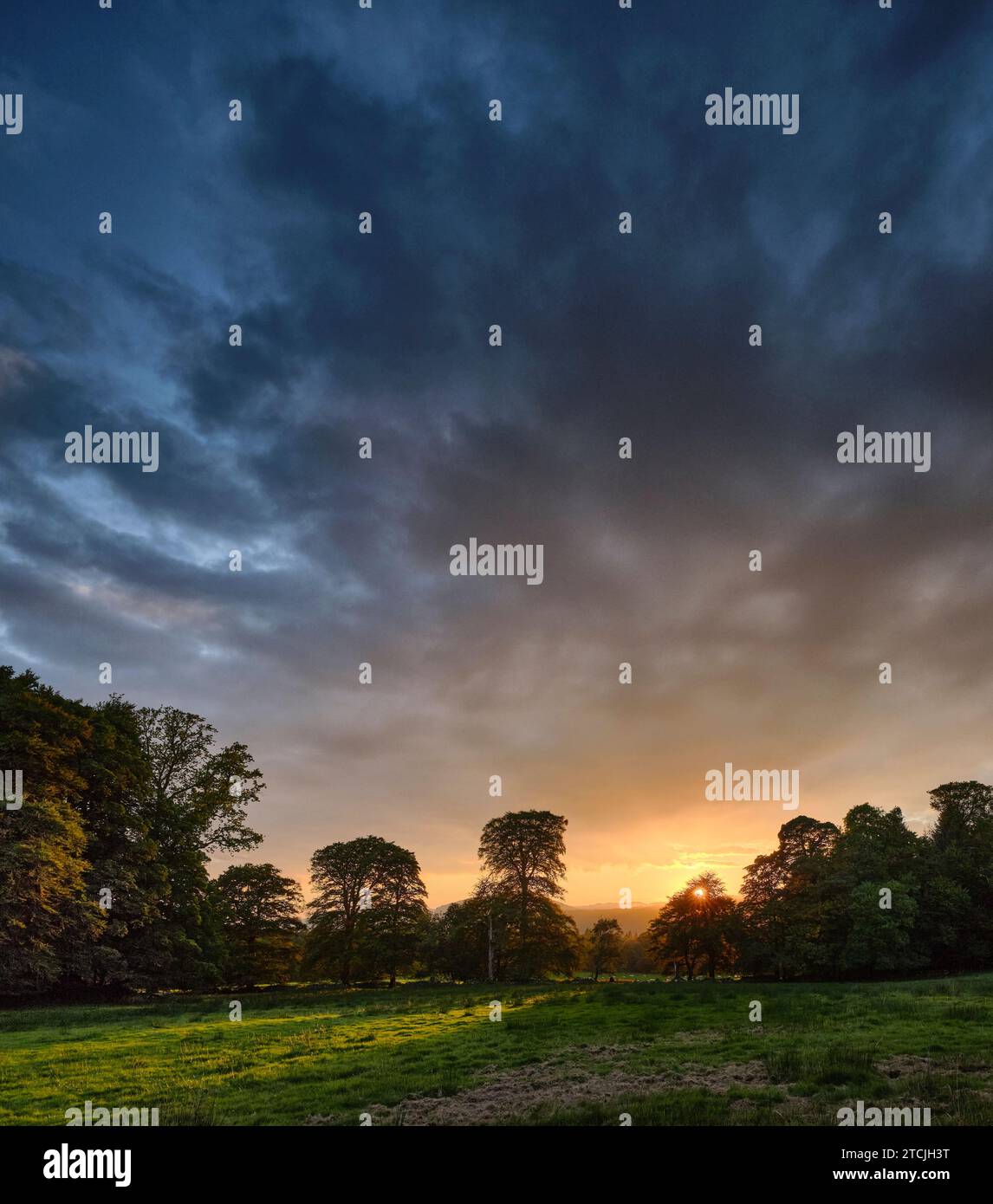 Die Sonne sinkt stetig hinter Wäldern an der Westküste des schottischen Hochlands. Argyll und Bute Stockfoto