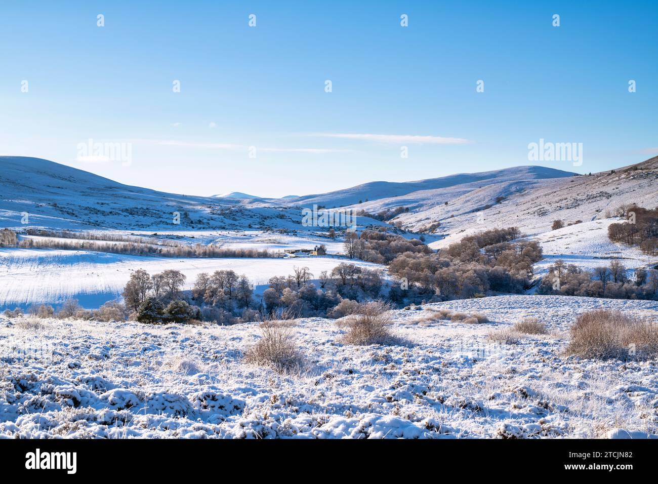 Glen Brown im Dezemberschnee. Cairngorms, Highlands, Schottland Stockfoto