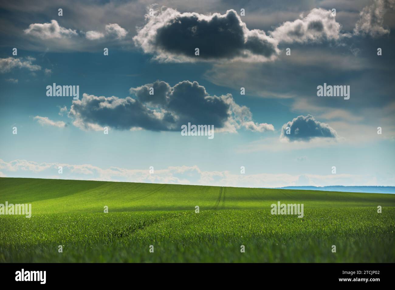 Green Field und blauer Himmel mit Wolken Stockfoto
