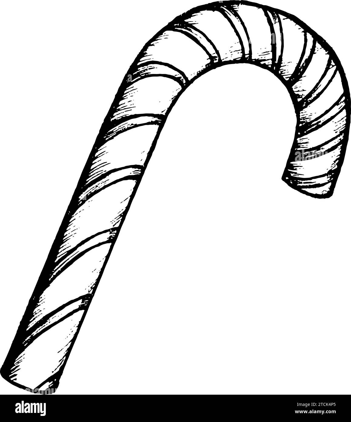 Vektor-Schwarz-weiß-Illustration von Zuckerrohr, handgezeichnetes Zuckerrohr. Stock Vektor