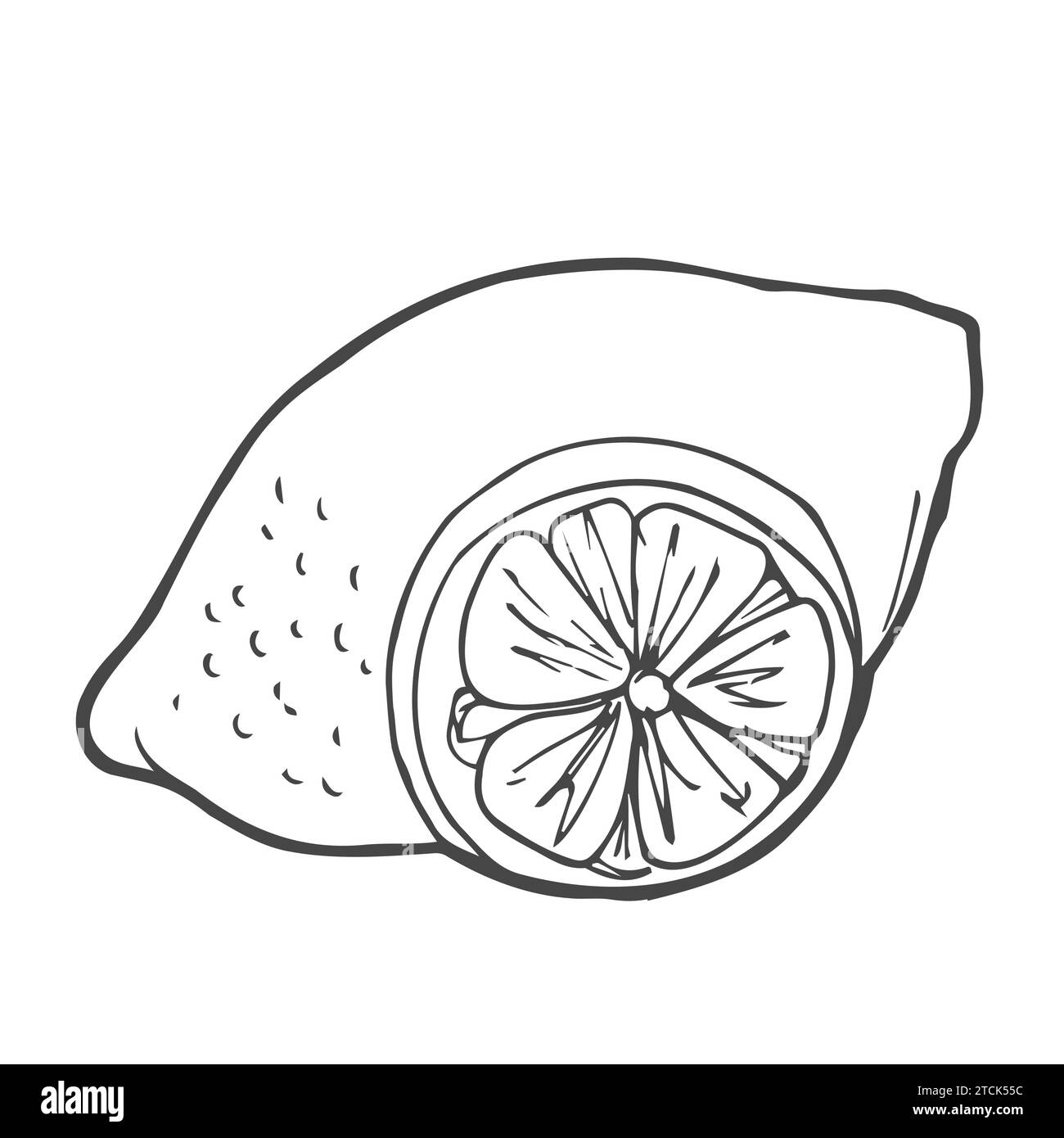 Handgezeichnete Kritzelei-Cartoon-Stil Vektor-Illustration. Sammlung Set von Zitrusfrüchten aus Limette Orange Stock Vektor