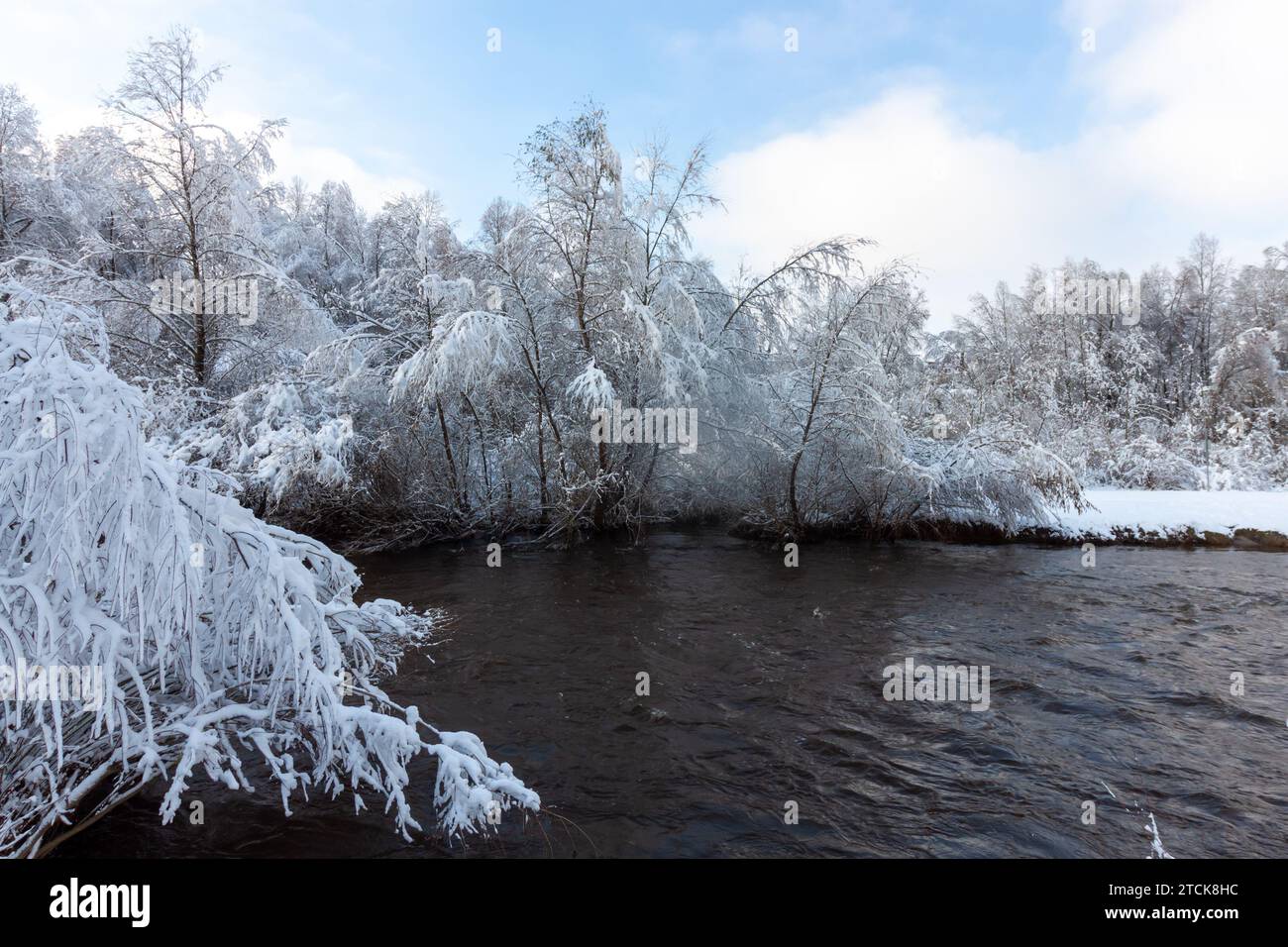 Schnell fließender Fluss im Winter. Schneebedeckte Bäume am Ufer. Deutschland, Ravensburg Stockfoto