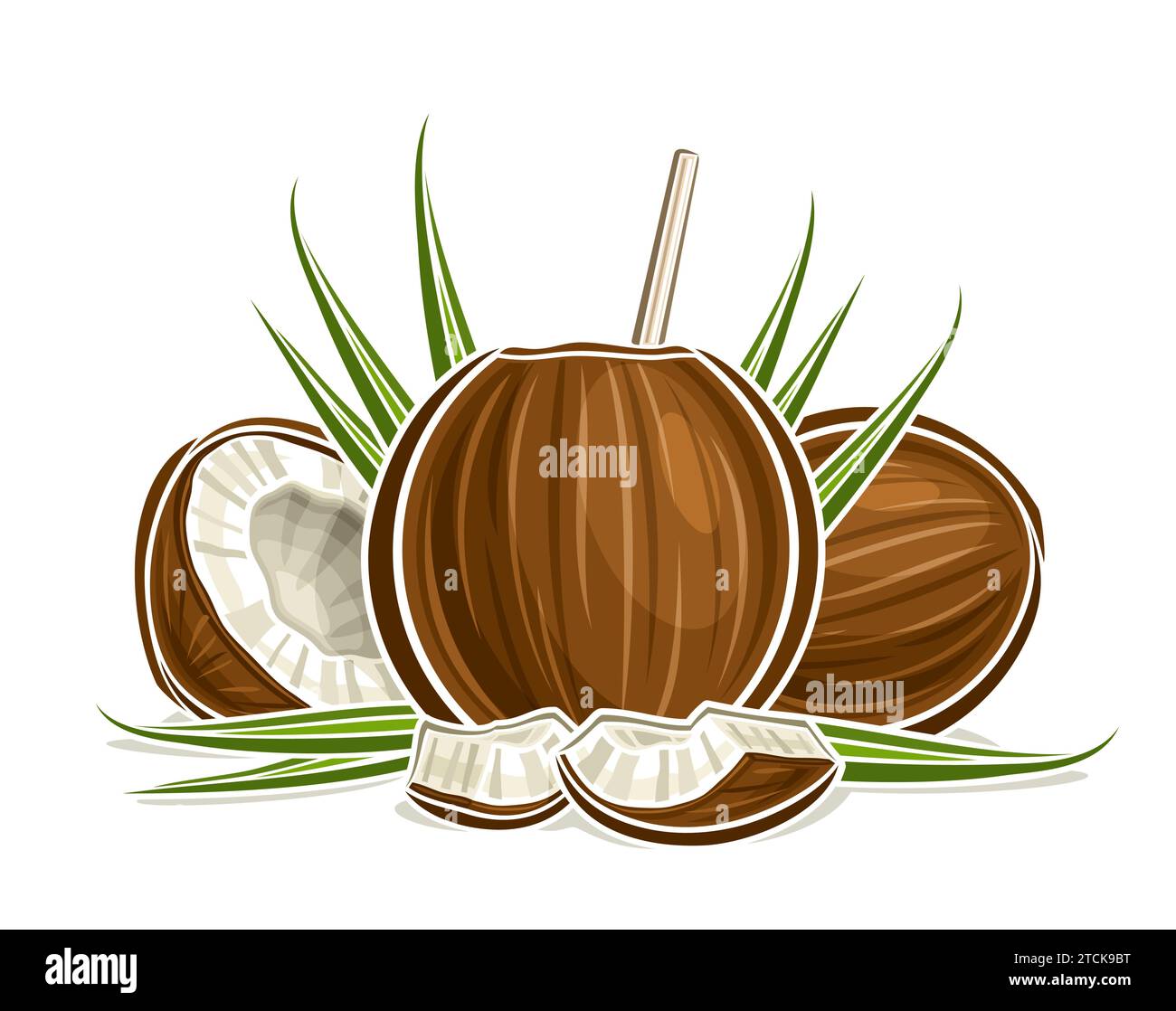 Vektor-Logo für Kokosnusswasser, horizontales Poster mit Illustration der Kokosnusszusammensetzung mit grünen Blättern und Trinkstroh, Zeichentrickdesign fruchtig Stock Vektor