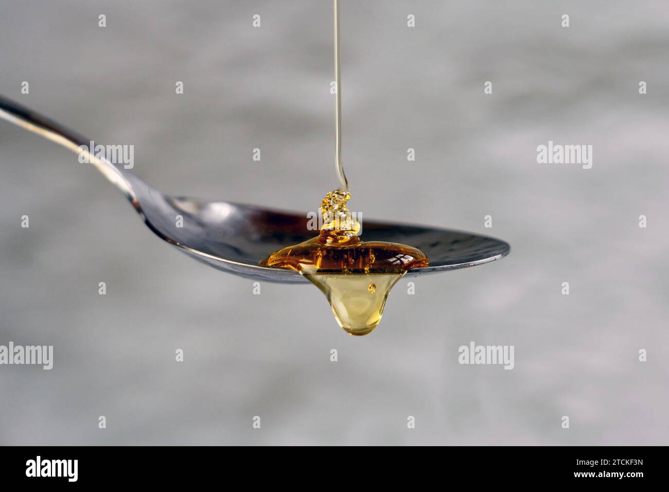 Honig in einen Löffel gießen, isoliert auf grauem Hintergrund, Lebensmittelillustration Stockfoto