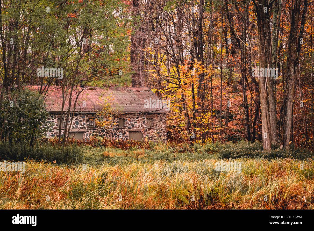 Das alte verlassene Haus des Waldes Stockfoto