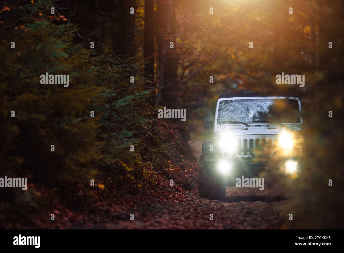 Landschaftlich reizvolle Herbstfahrt im Woodland Drive in einem Sport-Nutzfahrzeug Stockfoto