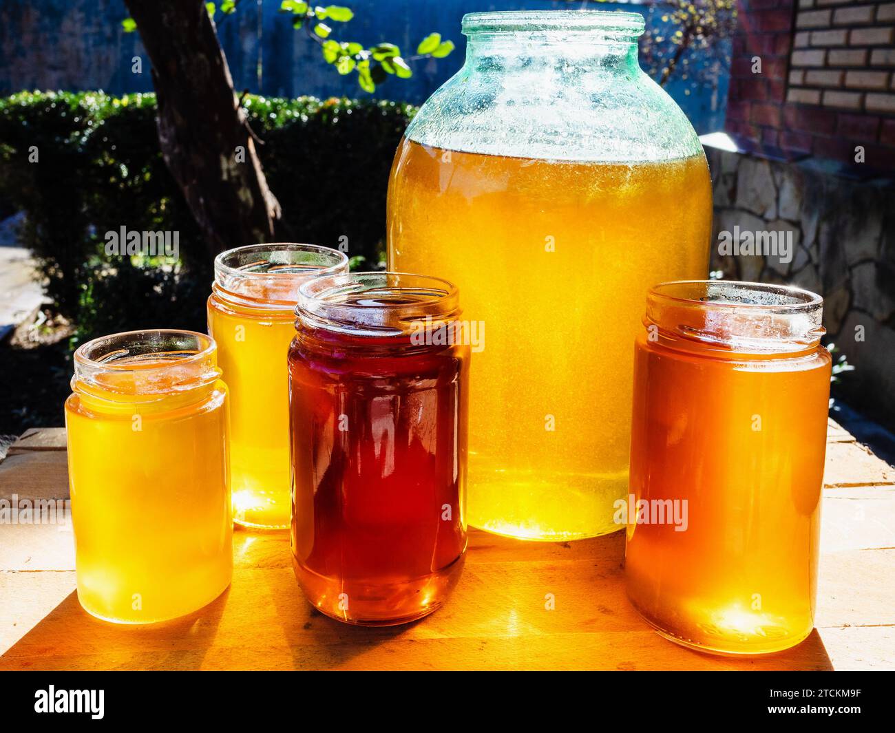 Verschiedene Honigsorten in verschiedenen Glasgläsern auf dem Tisch im Garten, beleuchtet von der Sonne Stockfoto