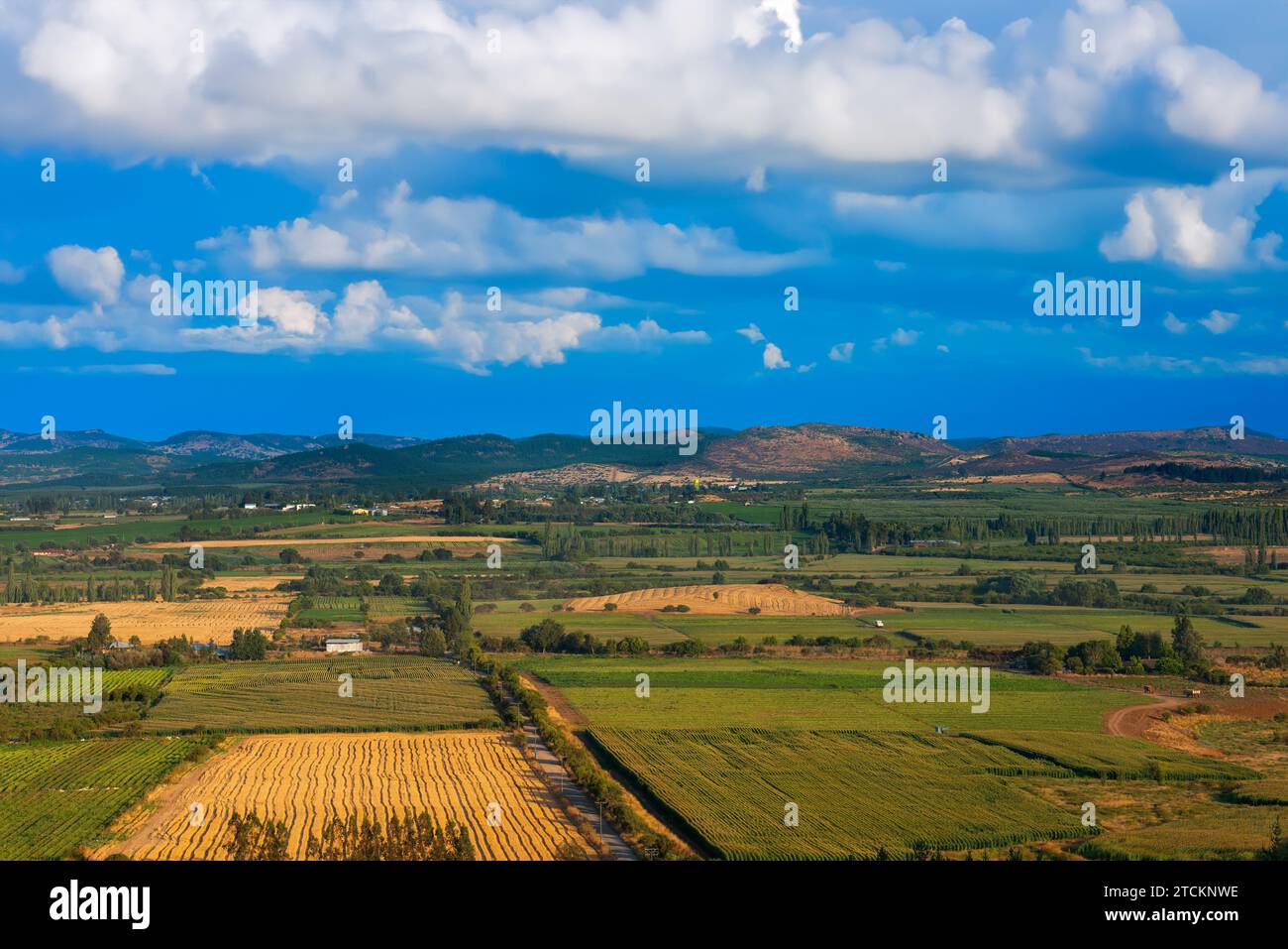 Erntegut Felder und Bauernhöfe in der Region del Maule im südlichen Chile Stockfoto
