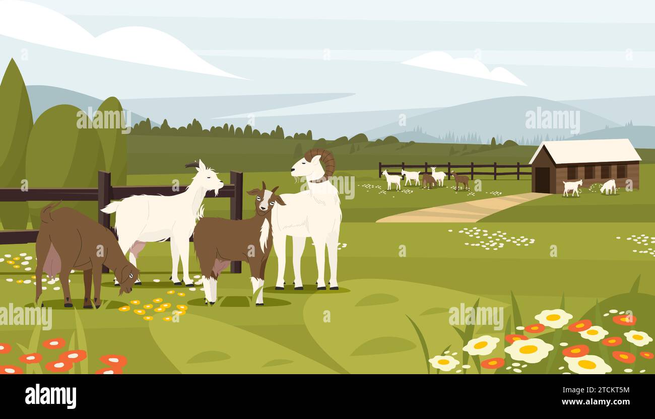 Ziegenfarm. Bauernhof mit Milchtieren, Hütte mit männlichen und weiblichen Ziegen, Bio-Bauernhof für Milchmilchproduktion. Vektor-Landschaft ländlicher Tiere Stock Vektor