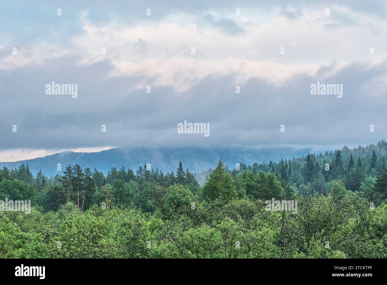 Blick auf den Bolshaya Suka-Rücken von der Autobahn M5, Tscheljabinsk Region, Südural, Russland. Regnerischer, nebeliger Sommertag. Dramatische Landschaft als abstrakte na Stockfoto