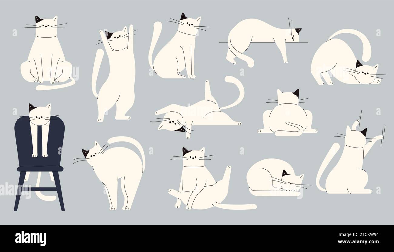 Körpersprache der Katze. Süße Kätzchen Emotionen, Cartoon Hauskatzen zeigen Emotionen und Stimmung, Hauskatzen Charaktere Emotionen und Stimmung. Vektor-isolierter Satz Stock Vektor