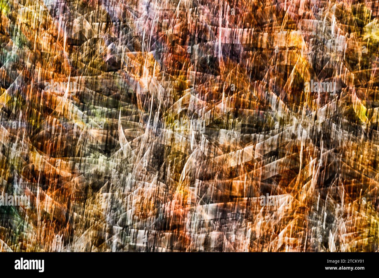 Grasblätter, abstrakter Hintergrund, Wischeffekt, Birnenbelichtung Stockfoto