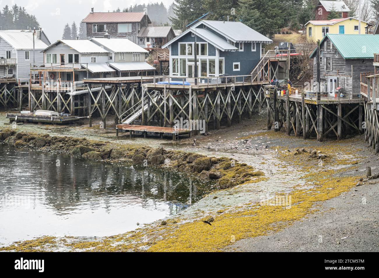Riverside Häuser mit Blick auf den Slough von Seldovia mit Fischern, die ihren Fang säubern und Weißkopfseeadlern, die die Überreste fressen, Seldovia, Alaska, USA Stockfoto