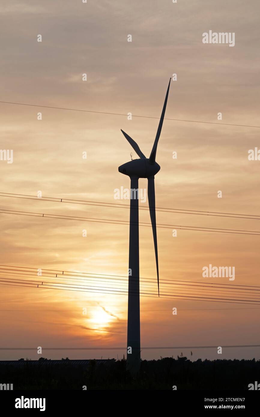 Windkraftwerk, Sonnenuntergang, Melbeck, Gemeinschaftsgemeinschaft Ilmenau, Niedersachsen, Deutschland Stockfoto