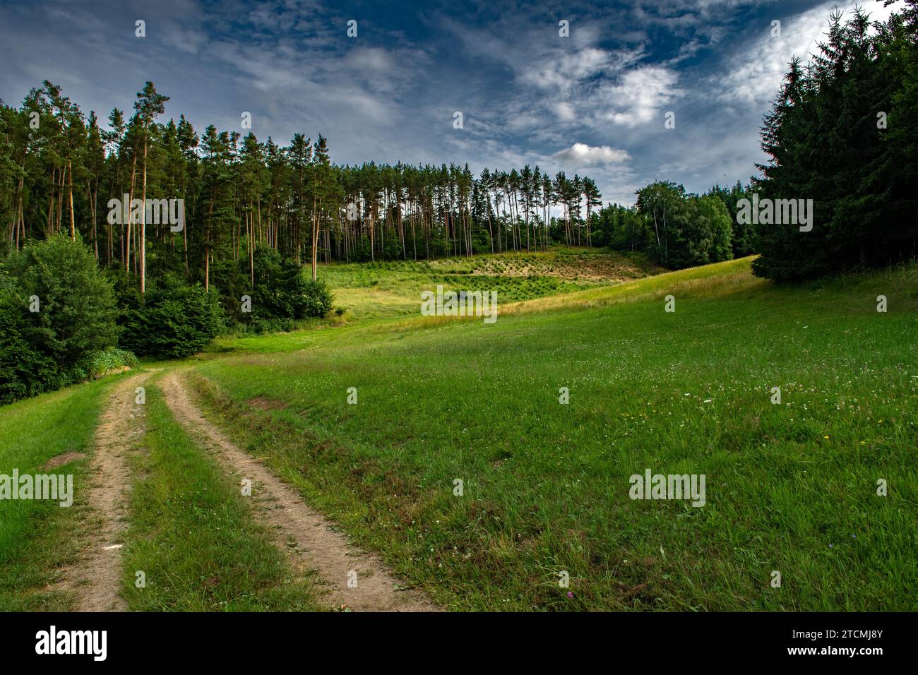 Ländliche Landschaft Mit Weiden Und Wäldern In Der Region Waldviertel In Österreich Stockfoto