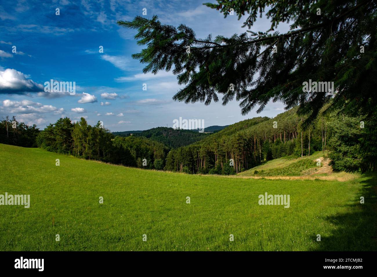 Ländliche Landschaft Mit Weiden Und Wäldern In Der Region Waldviertel In Österreich Stockfoto