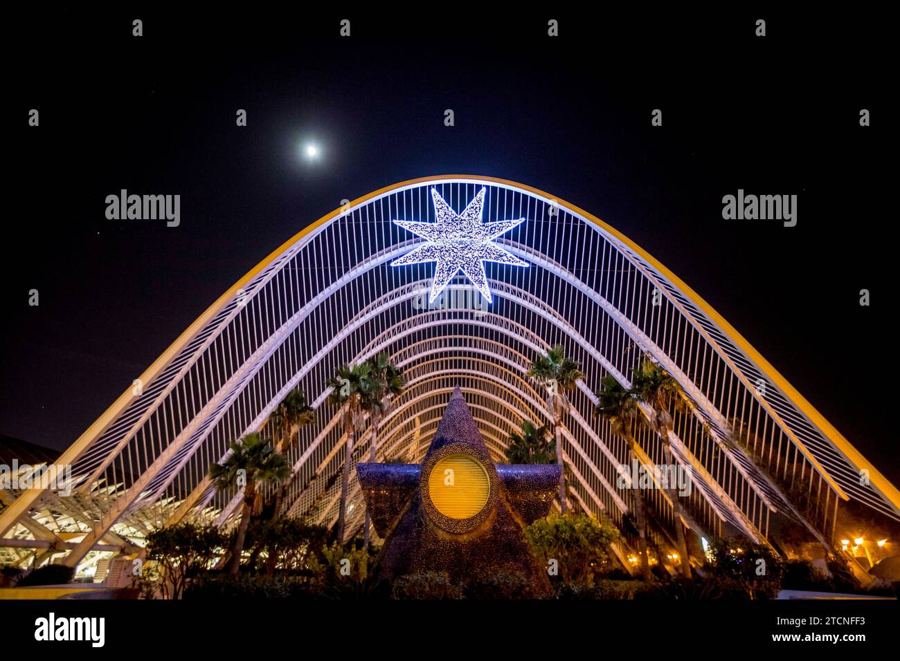 Valencia, 12.11.2016. Weihnachtsbeleuchtung in Valencia. Mikel Ponce Archdc. Quelle: Album / Archivo ABC / Mikel Ponce Stockfoto