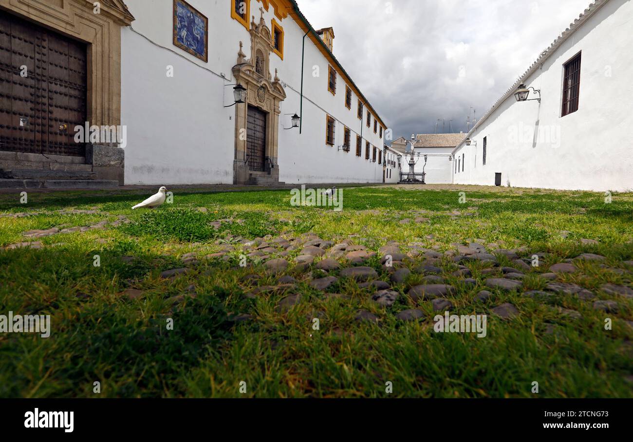 Córdoba, 20.04.2020. Plaza de Capuchinos mit dem Christus der Laternen, mit Vegetation auf dem Boden, aufgrund der Eindämmung des Coronavirus. Foto: Valerio Merino ARCHCOR. Quelle: Album / Archivo ABC / Valerio Merino Stockfoto