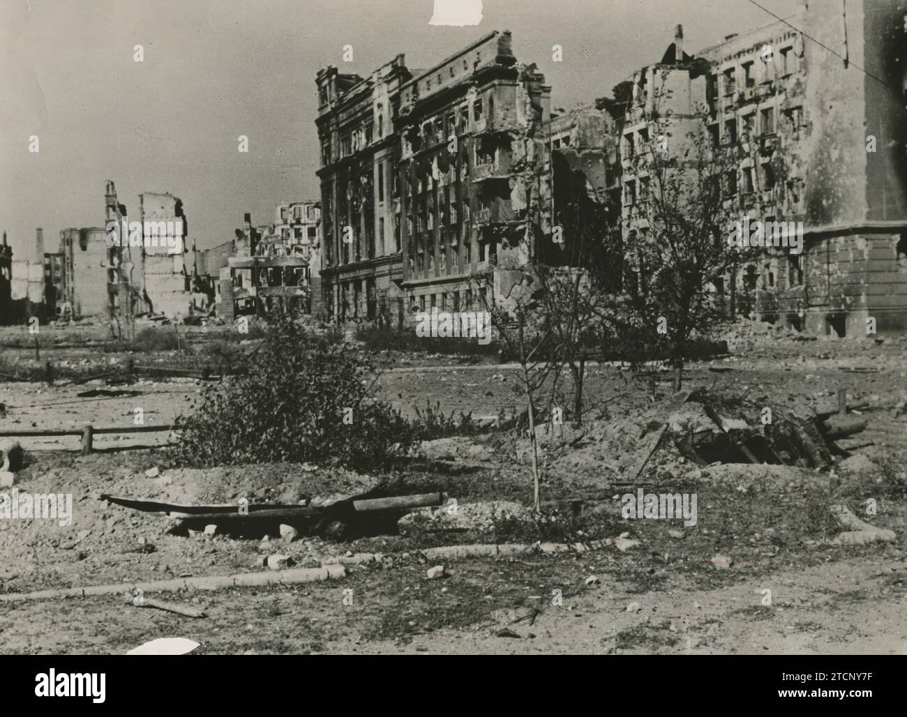 Stalingrad. November 1942. Es gab einen Platz, auf dem alle Gebäude in Ruinen waren. Quelle: Album/Archivo ABC Stockfoto