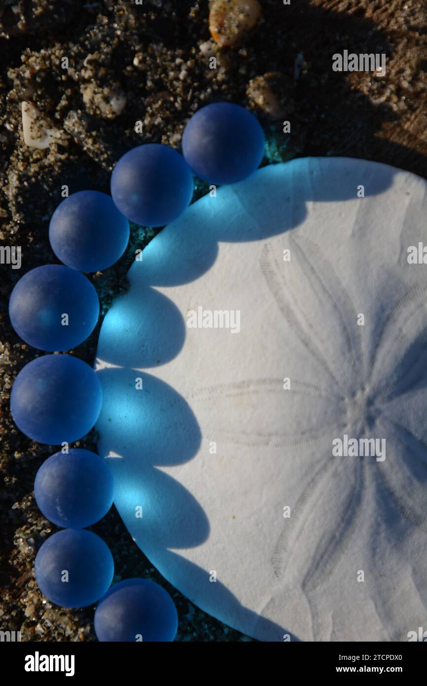 Originalkunst von mir. Weißer Sand Dollar mit Sonnenschein durch blaue Marmor am Strand. Stockfoto