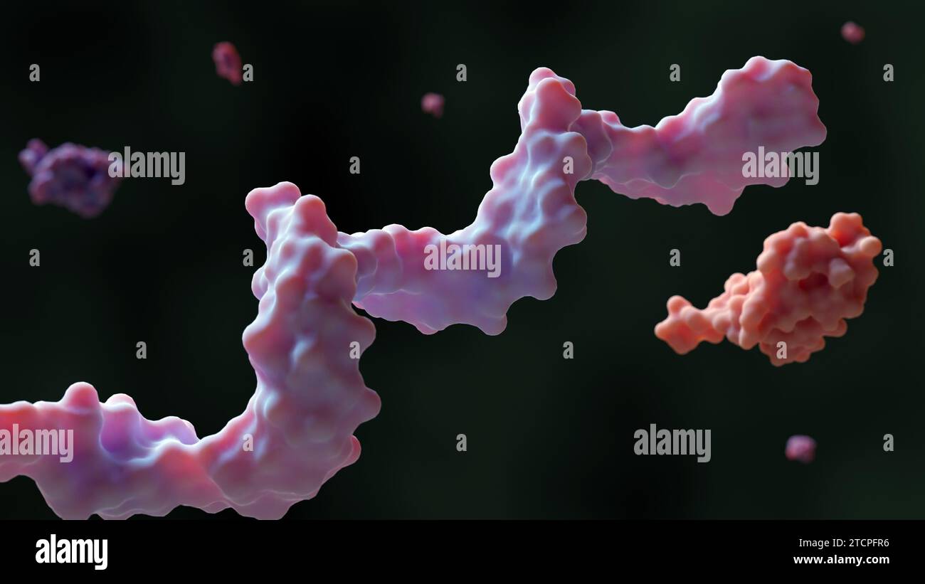 Protein G−DNA konjugieren einen Antikörper an der vorgesehenen Fläche auf der Oberfläche von Bioassay-Chips oder -Partikeln; 3D-Rendering Stockfoto