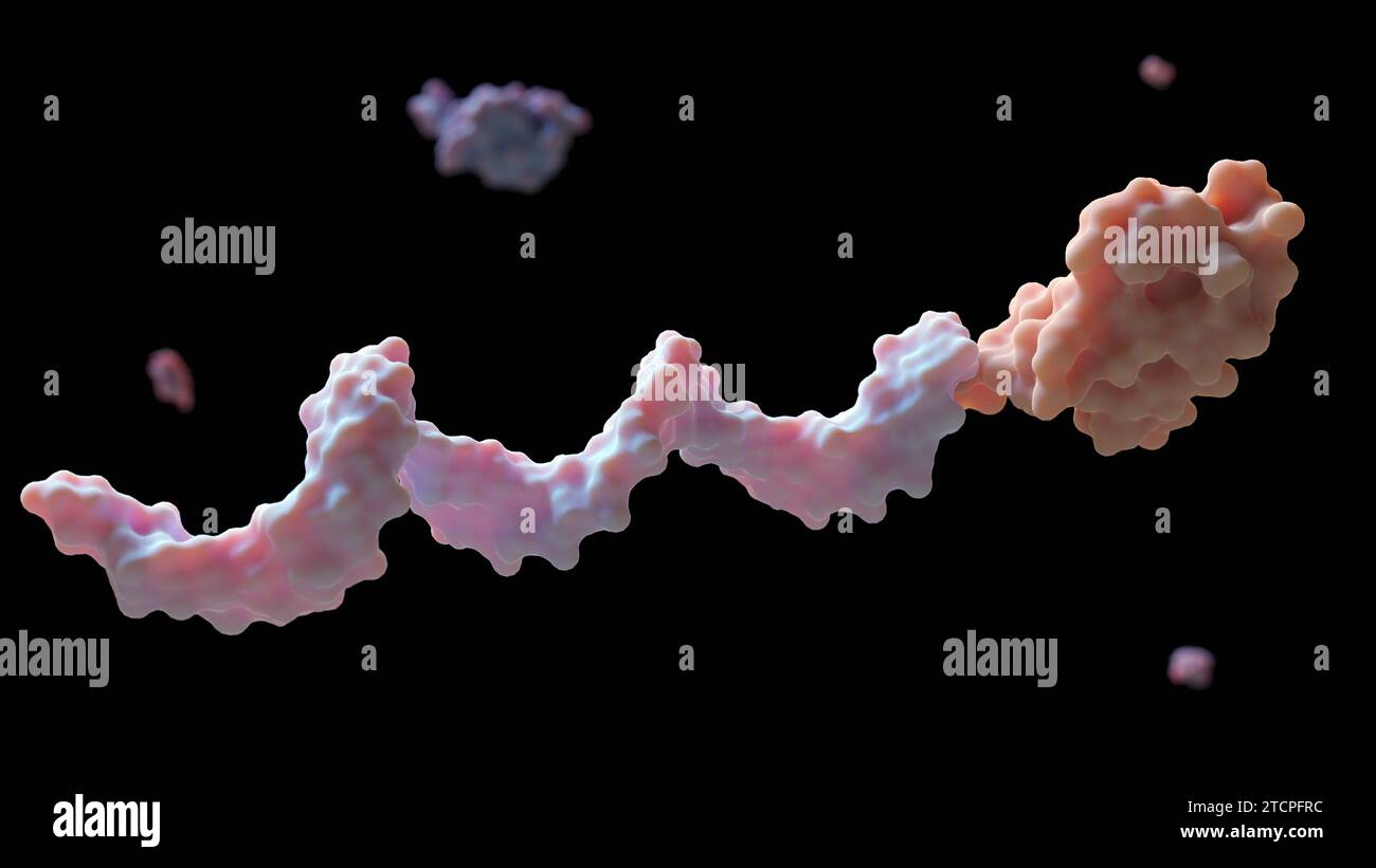 Protein G−DNA konjugieren einen Antikörper an der vorgesehenen Fläche auf der Oberfläche von Bioassay-Chips oder -Partikeln; 3D-Rendering Stockfoto