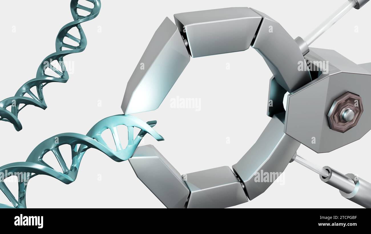 Bei einem 3D-Rendering greifen isolierte Roboterkrallen einen DNA-Strang Stockfoto
