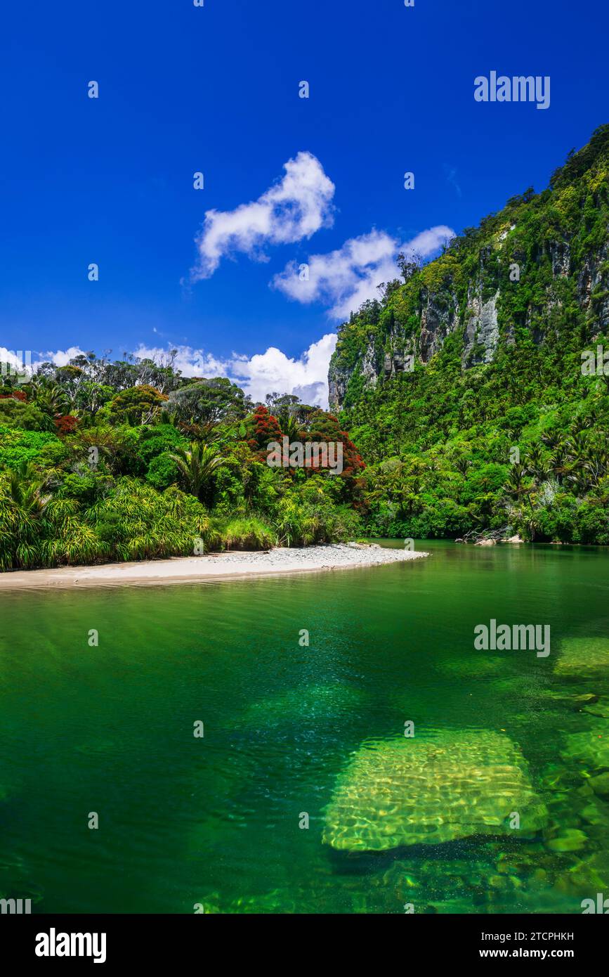 Der Pororari River, Paparoa National Park, Punakaiki, Neuseeland Stockfoto