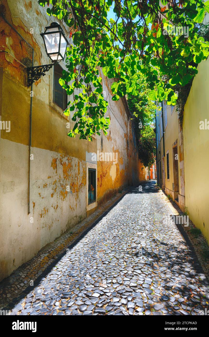 Kopfsteinpflasterstraße in Largo do Contrado, Alfama District, Lissabon, Portugal Stockfoto