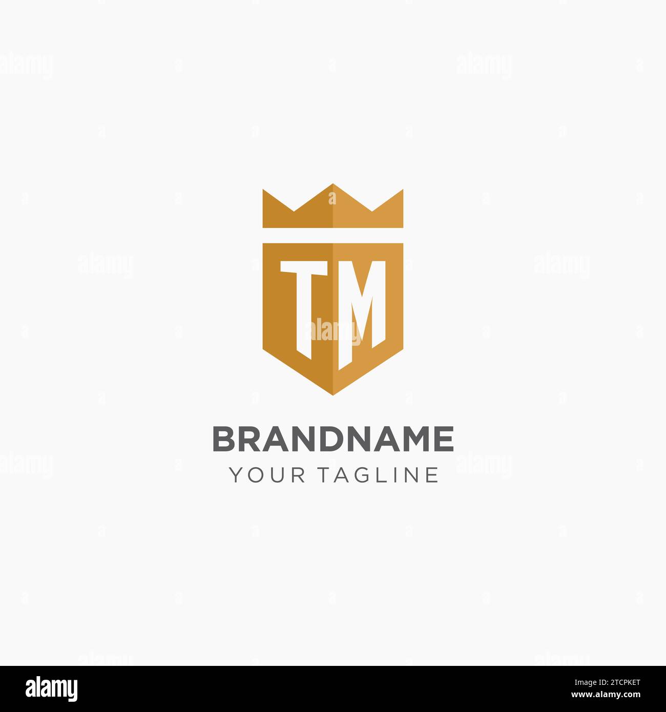 Monogram TM -Logo mit geometrischem Schild und Krone, luxuriöse, elegante Vektorgrafik im ersten Logodesign Stock Vektor