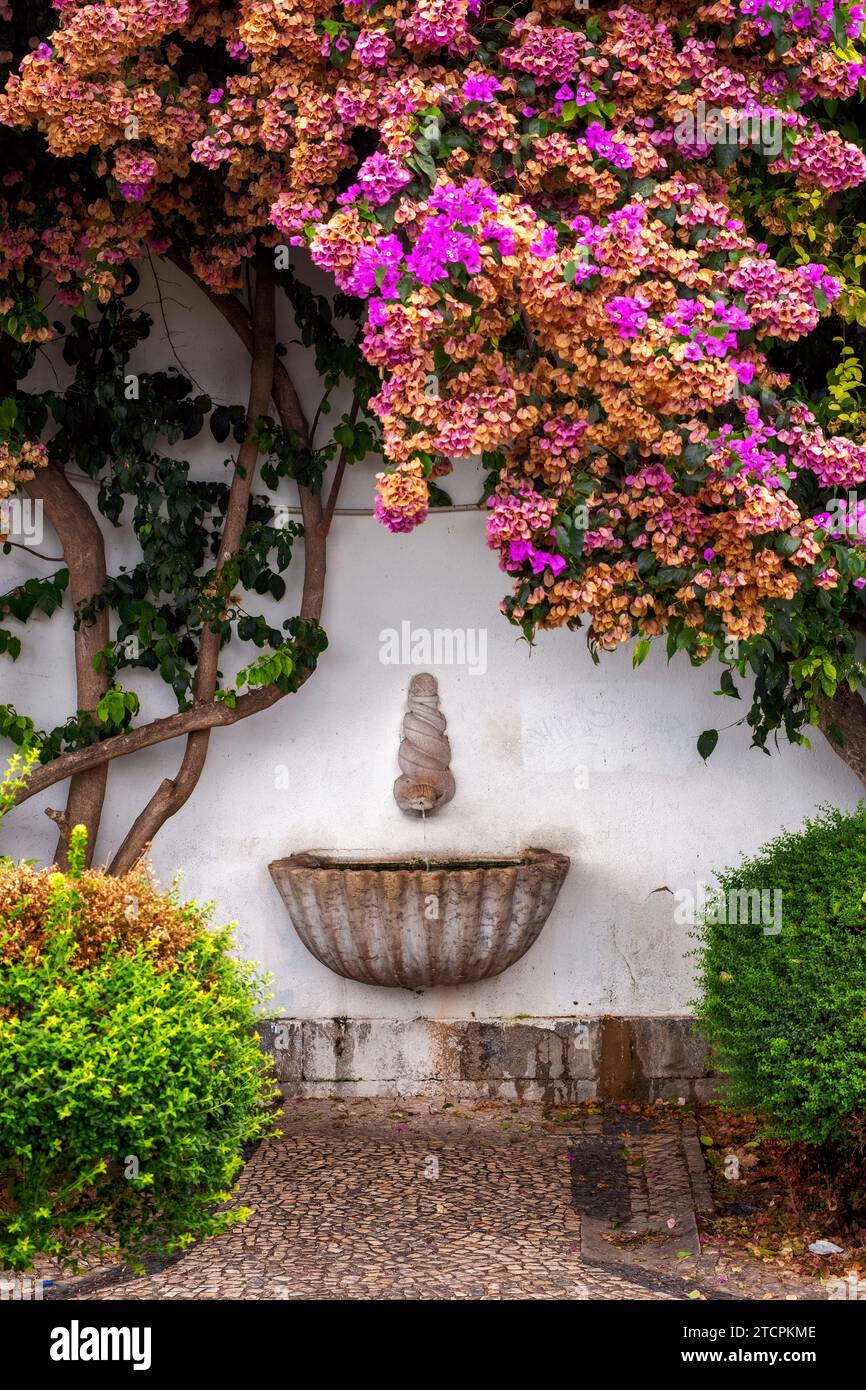 Muschelförmiger Wasserbrunnen mit Blumen, Kirche Santa Luzia, Lissabon, Portugal Stockfoto