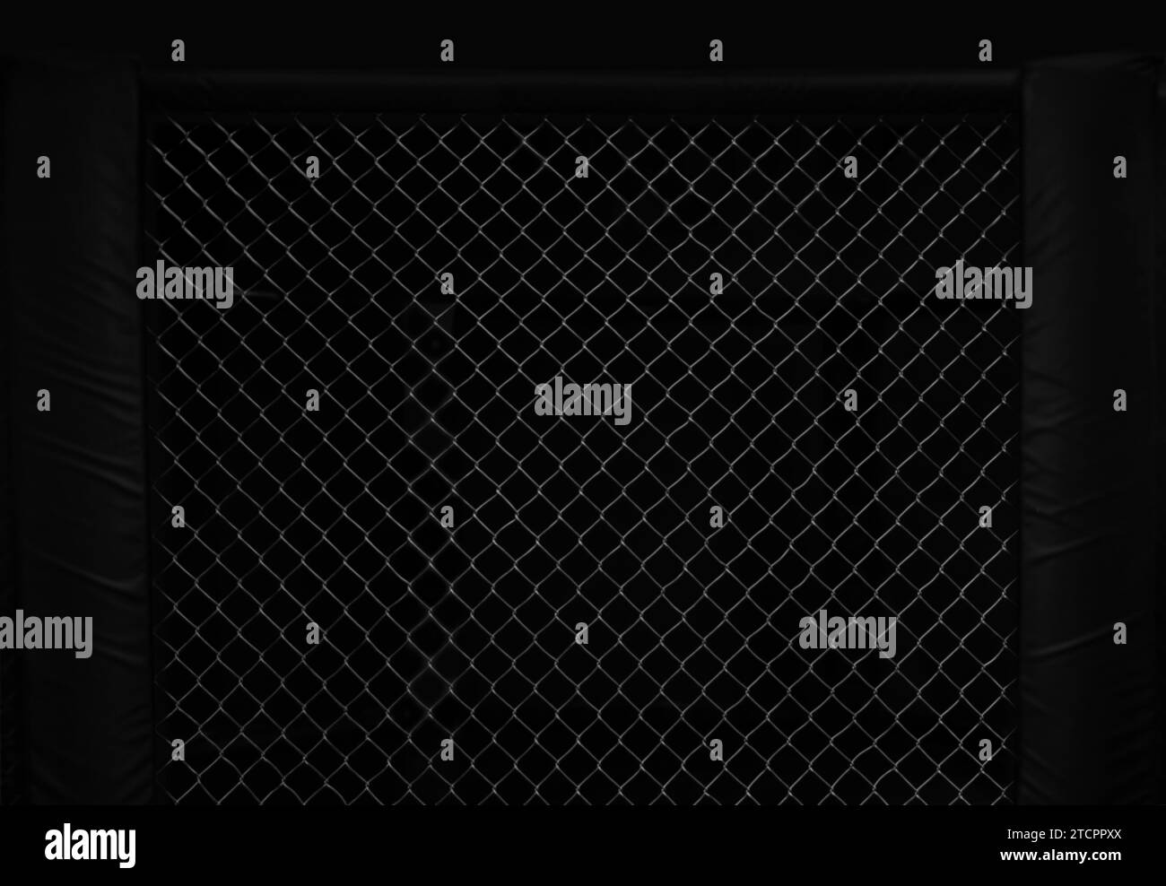 Bild eines Achtecks. Konzept von Boxen, Sport, muay thai, Kampfkunst Stockfoto