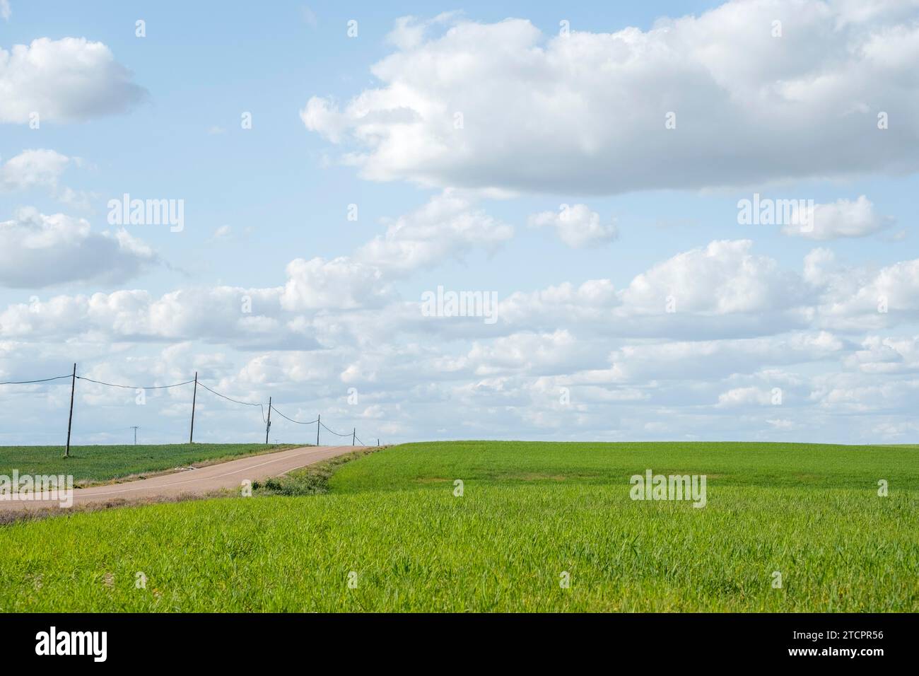 Eine ländliche Szene mit Wiesen und einer gewundenen Landstraße, die die ruhige Schönheit der Landschaft und die Umarmung der Natur zeigt Stockfoto
