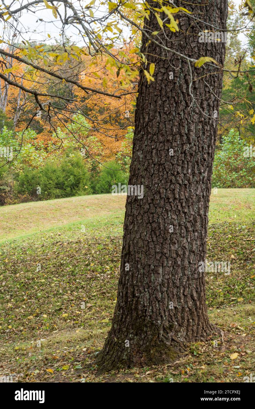 Das Serpent Mound State Memorial, Effigy Mound in Peebles, Ohio Stockfoto