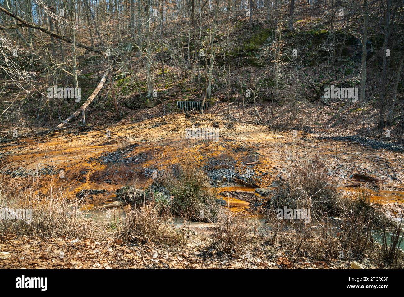 Giftiger Schlamm aus der Erde aus dem Kohlebergbau im Wayne National Forest in Ohio Stockfoto