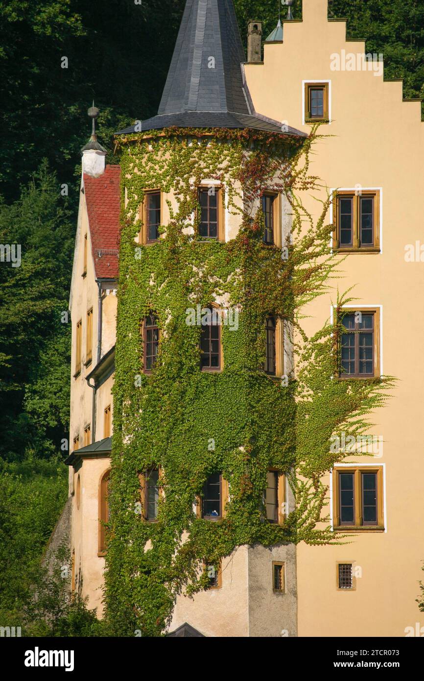 Schloss Weissenstein, historisches Gebäude, Architektur, Kletterpflanze, Fenster, Lauterstein, Baden-Württemberg, Deutschland Stockfoto