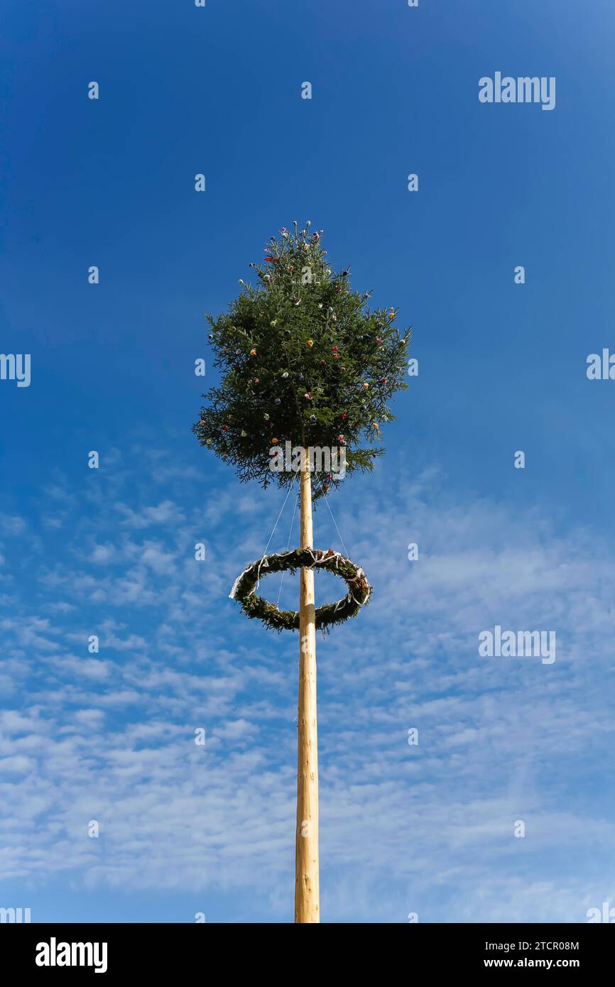 Maypole, verzierte Nadelbäume, Baumstamm, Kranz, Tanne, Himmel, Brauch, Tradition, Geislingen, Zollernalbkreis, Baden-Württemberg, Deutschland Stockfoto