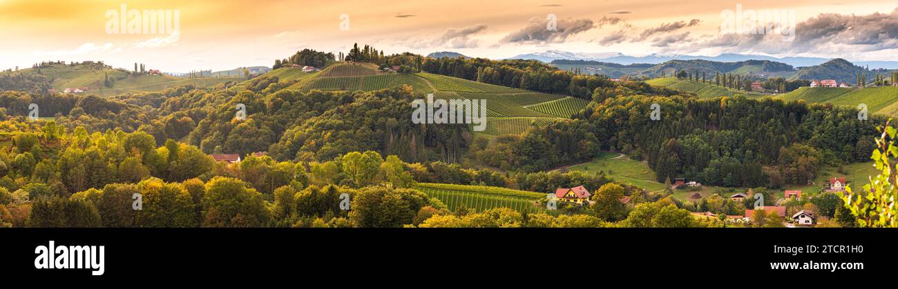 Weinberge Panorama in der Südsteiermark, Anfang Herbst. Österreich-Toskana-ähnliches Spot Stockfoto